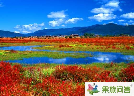 昆明、大理、麗江、香格里拉 7晚8天 生態休閑之旅