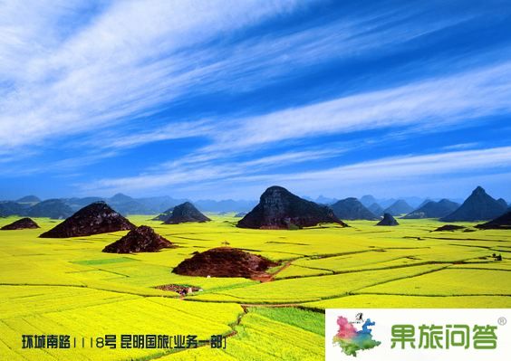 羅平金雞——云南旅游別錯(cuò)過(guò)了羅平花海我的故鄉(xiāng)