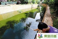 <b>昆明市上演小龍蝦大戰！小龍蝦涌進入滇河道危害極大市民展開捕殺</b>