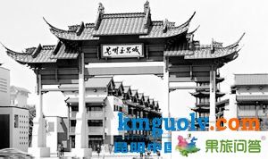 在整個云南珠寶產(chǎn)業(yè)中，昆明玉器城已被寄予了厚望。